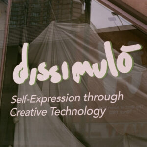 dissimulo installation photo